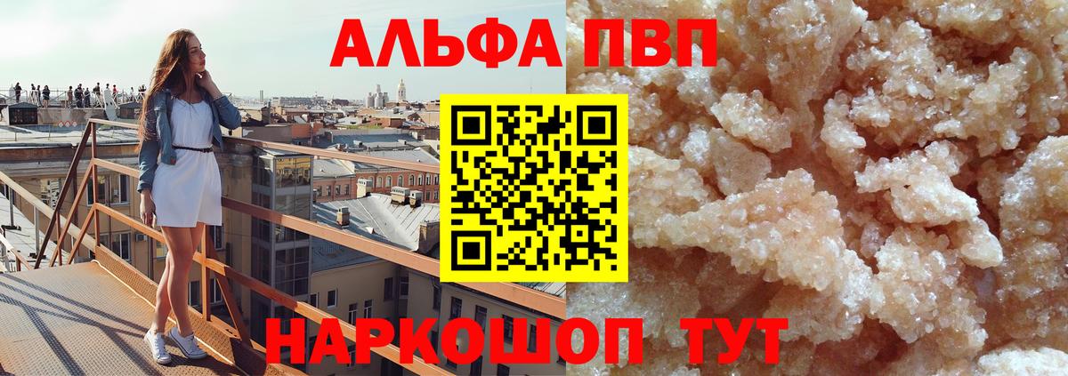 Альфа ПВП СК Нововоронеж