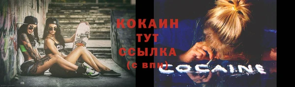 apvp Кодинск