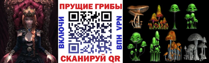 даркнет сайт  Нововоронеж  Галлюциногенные грибы Psilocybine cubensis 