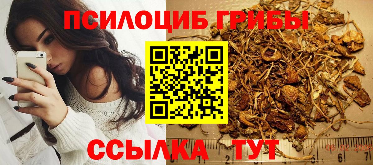 Нововоронеж  Галлюциногенные грибы MAGIC MUSHROOMS  Вход с VPN  Псилоцибиновые грибы мицелий 
