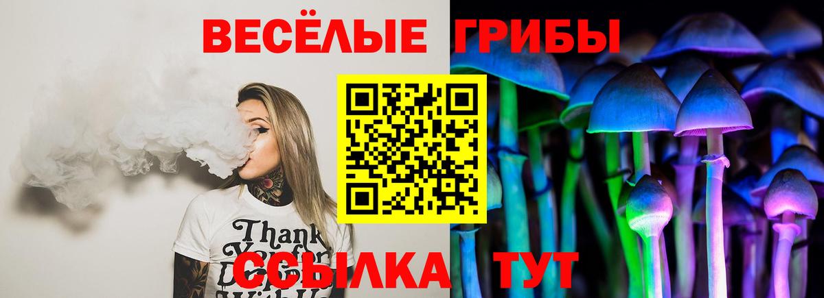 Галлюциногенные грибы GOLDEN TEACHER Нововоронеж